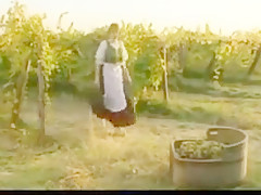 Winemaking