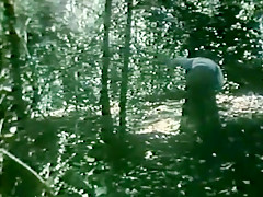 Amazing Vintage, Outdoor porn clip