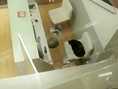 Incredible peeper Hidden Cams, Showers porn video