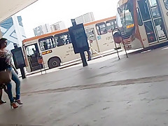Coroa rabuda da limpeza