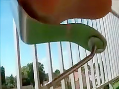 Incredible amateur High Heels, Outdoor sex movie