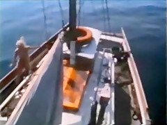Amazing Vintage, Compilation adult video
