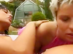 Backyard lesbians love their toys