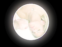 Photograph your wife and friend to the camera