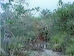 Crazy Outdoor, Vintage adult clip