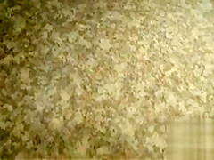 Spying on a couple screwing in the bathroom