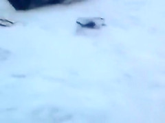 German chick jerks her new friend off at the beach