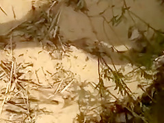 Stroking as ladies hang out on the beach