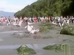 Naked performance art on the beach