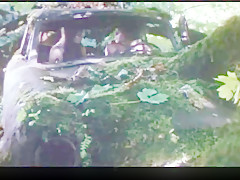 Post apocalyptic adam   eve (1971)