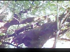 Post apocalyptic adam   eve (1971)