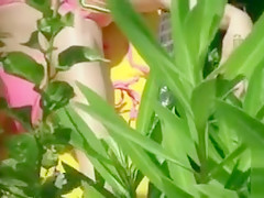 Bikini girl cameltoe in beach voyeur video