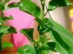 Bikini girl cameltoe in beach voyeur video