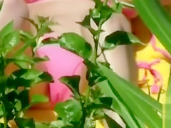 Bikini girl cameltoe in beach voyeur video