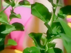 Bikini girl cameltoe in beach voyeur video