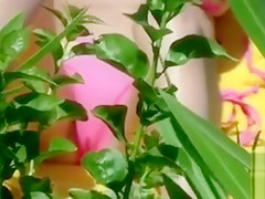 Bikini girl cameltoe in beach voyeur video