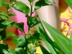 Bikini girl cameltoe in beach voyeur video