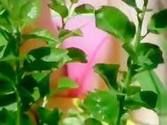 Bikini girl cameltoe in beach voyeur video