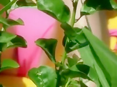 Bikini girl cameltoe in beach voyeur video