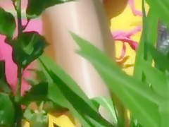 Bikini girl cameltoe in beach voyeur video