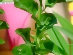 Bikini girl cameltoe in beach voyeur video