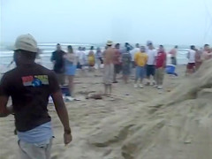 Happy girls show off their wares at a beach party