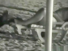 Caught fucking at beach