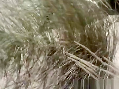 Couple fucking in dunes