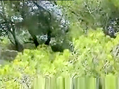 Kinda couple @ the beach movie