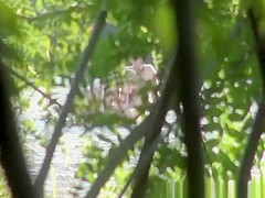 Nudist couple fucking in the beach