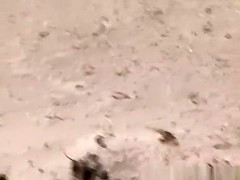 Beach nudist blowjob with couple watching