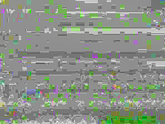 Busty teen spreading and closing her legs