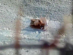 Topless woman spied in the rocky beach