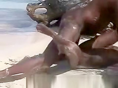 Ebony Beach Fuck