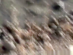 Big dick blowjob and beach fuck