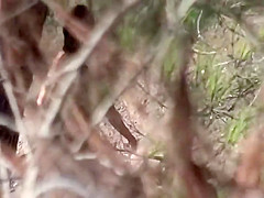 Perfect ass secretly filmed during peepee