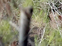 Perfect ass secretly filmed during peepee