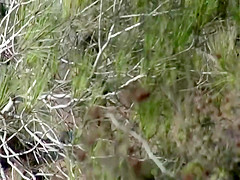 Perfect ass secretly filmed during peepee