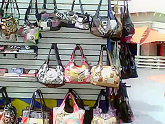 Trina flashing Broadway at the Beach vendors