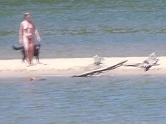 Nude Beach 1