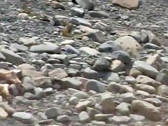 Sex on the Beach. Voyeur Video 55