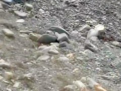 Sex on the Beach. Voyeur Video 55