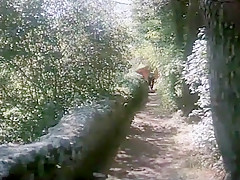 Exotic Outdoor, Big Dick sex scene