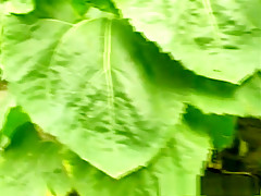 Hottest pornstars Sandra Kalerman and Mili Jay in best blonde, outdoor porn movie