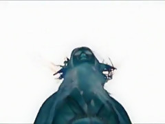 Exotic Shaved, Outdoor sex movie