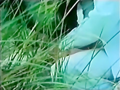 Amazing Outdoor, Beach sex video