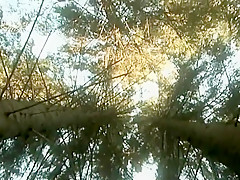 Crazy amateur Couple, Outdoor sex video