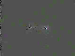 Amazing Small Tits, Big Dick porn scene