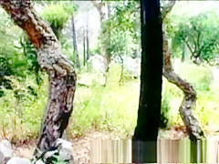 Incredible pornstar in amazing outdoor adult scene