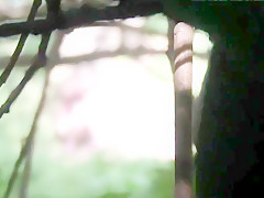 Peeping cuties pissing outdoor